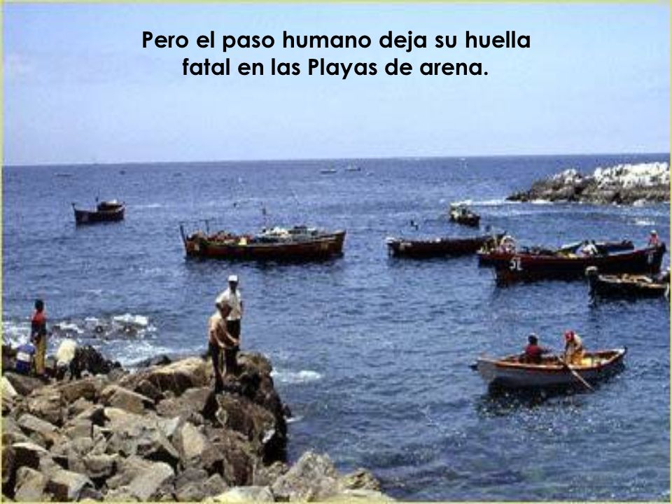 Pero el paso humano deja su huella fatal en las Playas de arena.