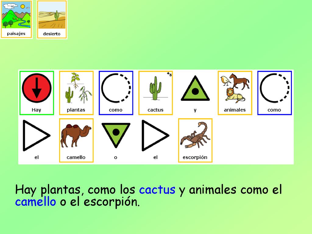 Hay plantas, como los cactus y animales como el camello o el escorpión.