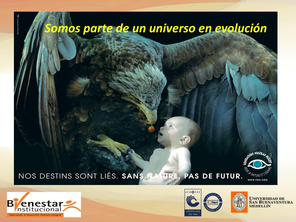 Somos parte de un universo en evolución