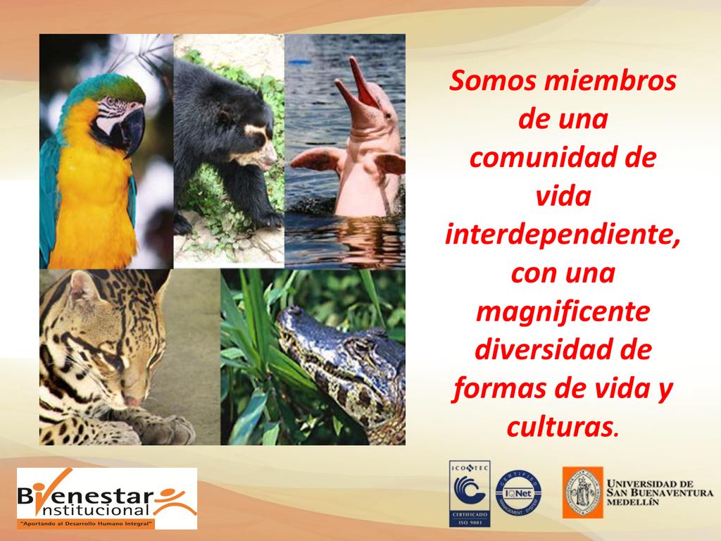 Somos miembros de una comunidad de vida interdependiente, con una magnificente diversidad de formas de vida y culturas.