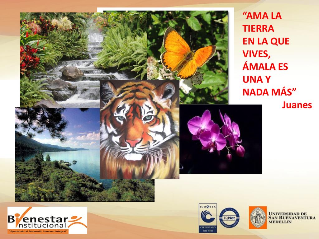 AMA LA TIERRA EN LA QUE VIVES, ÁMALA ES UNA Y NADA MÁS Juanes