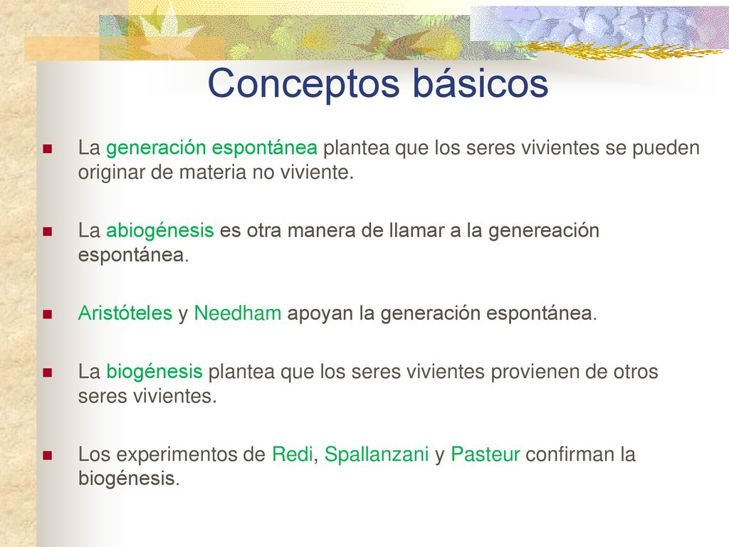 Conceptos básicos La generación espontánea plantea que los seres vivientes se pueden originar de materia no viviente.