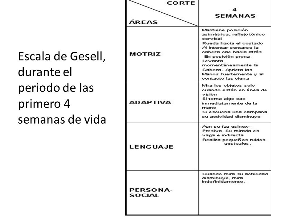 Escala de Gesell, durante el periodo de las primero 4 semanas de vida