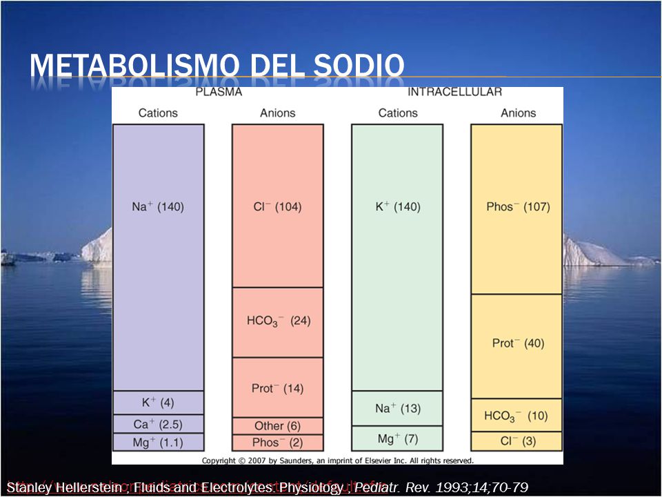 Metabolismo del sodio Stanley Hellerstein ; Fluids and Electrolytes: Physiology ; Pediatr. Rev. 1993;14;