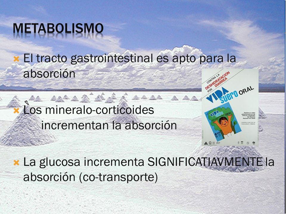 Metabolismo El tracto gastrointestinal es apto para la absorción