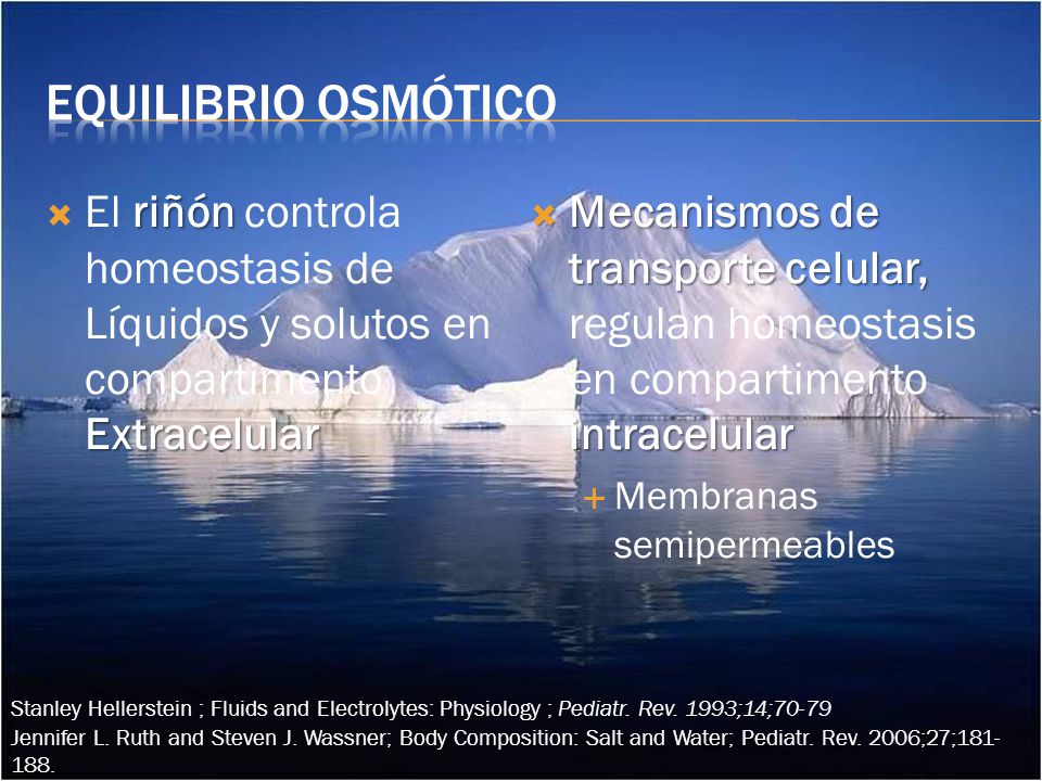 Equilibrio osmótico El riñón controla homeostasis de Líquidos y solutos en compartimento Extracelular.