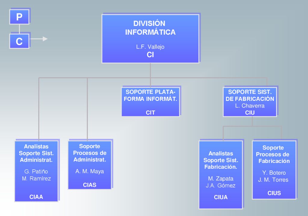 P C DIVISIÓN INFORMÁTICA CI CI L.F. Vallejo SOPORTE PLATA-