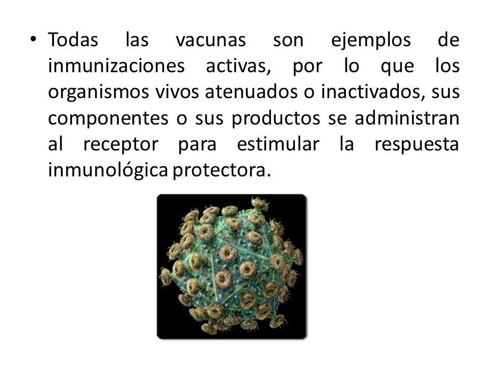 Todas las vacunas son ejemplos de inmunizaciones activas, por lo que los organismos vivos atenuados o inactivados, sus componentes o sus productos se administran al receptor para estimular la respuesta inmunológica protectora.