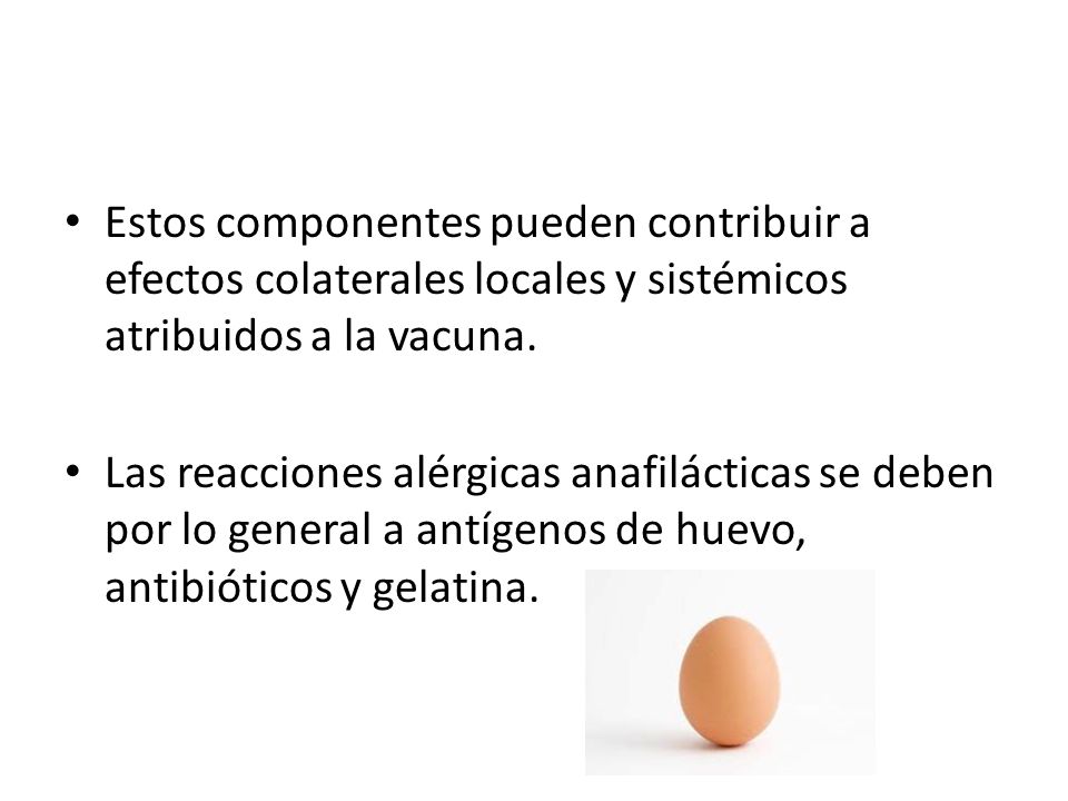 Estos componentes pueden contribuir a efectos colaterales locales y sistémicos atribuidos a la vacuna.