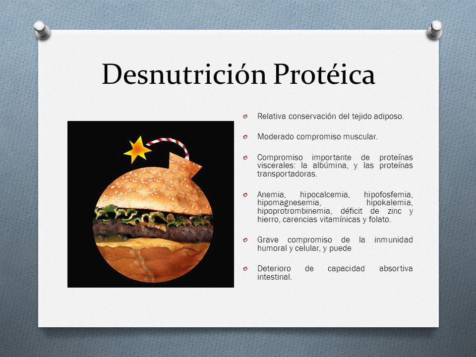 Desnutrición Protéica