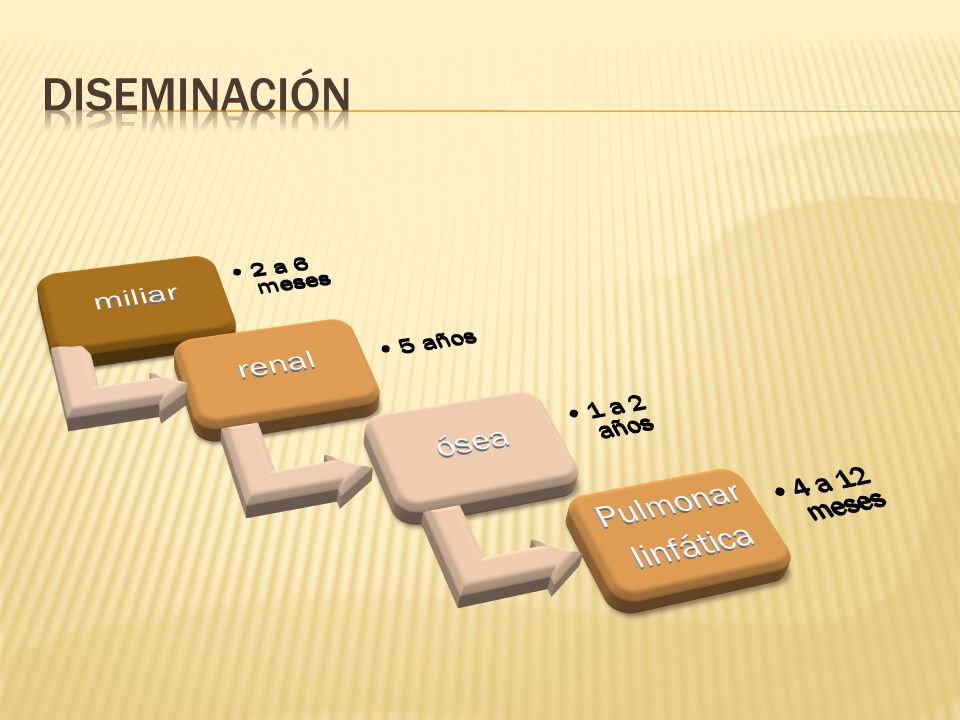 diseminación miliar renal ósea Pulmonar linfática 4 a 12 meses