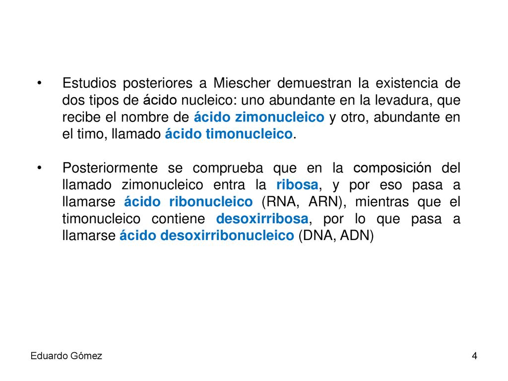 Estudios posteriores a Miescher demuestran la existencia de dos tipos de ácido nucleico: uno abundante en la levadura, que recibe el nombre de ácido zimonucleico y otro, abundante en el timo, llamado ácido timonucleico.