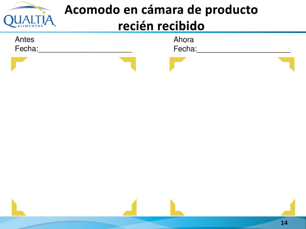 Acomodo en cámara de producto recién recibido