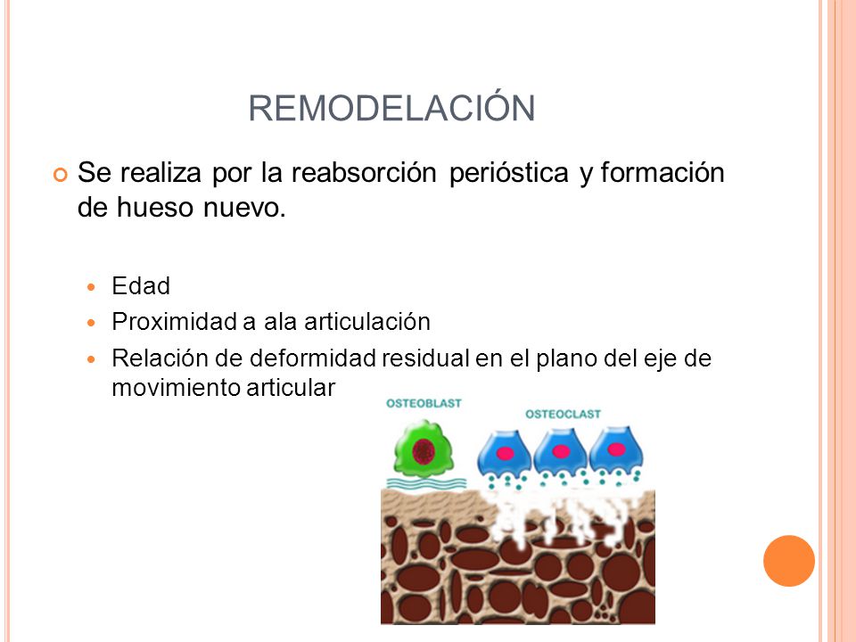 REMODELACIÓN Se realiza por la reabsorción perióstica y formación de hueso nuevo. Edad. Proximidad a ala articulación.