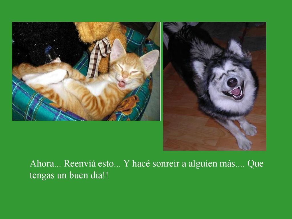 Ahora. Reenviá esto. Y hacé sonreir a alguien más