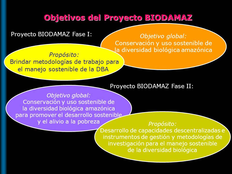 Objetivos del Proyecto BIODAMAZ