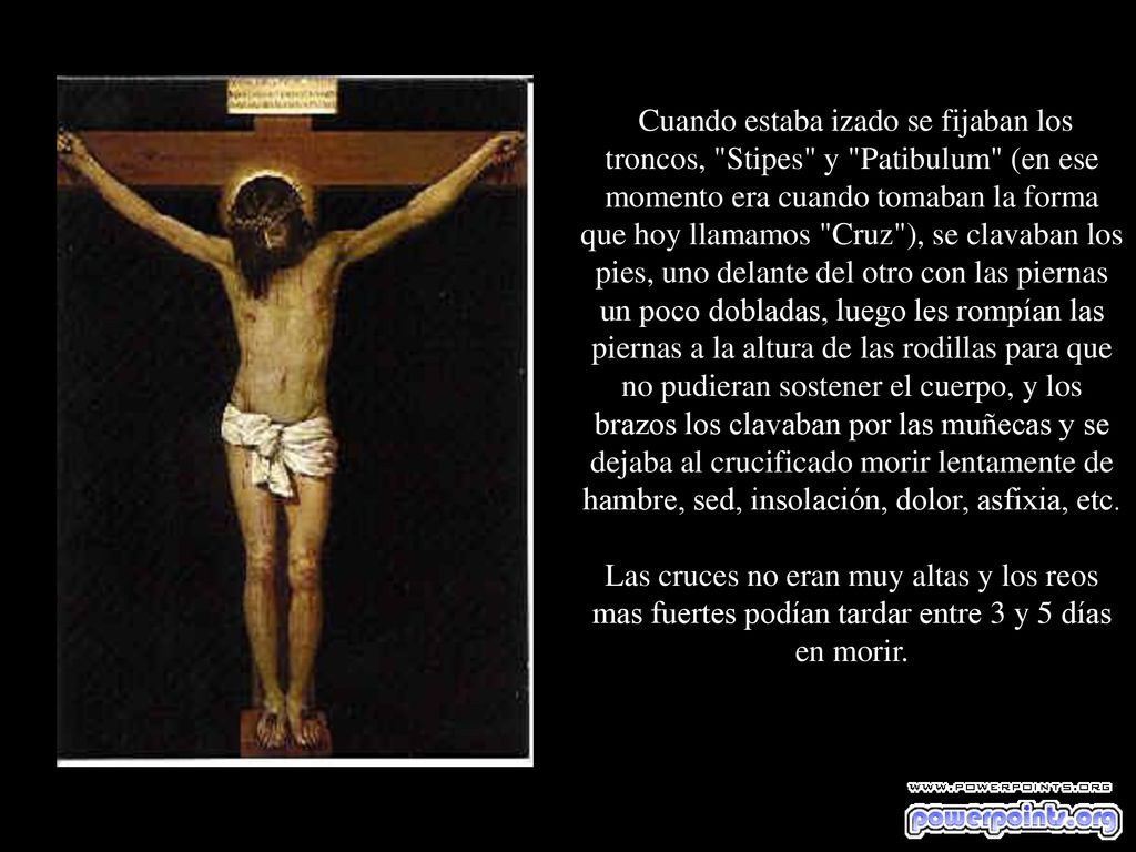 Cuando estaba izado se fijaban los troncos, Stipes y Patibulum (en ese momento era cuando tomaban la forma que hoy llamamos Cruz ), se clavaban los pies, uno delante del otro con las piernas un poco dobladas, luego les rompían las piernas a la altura de las rodillas para que no pudieran sostener el cuerpo, y los brazos los clavaban por las muñecas y se dejaba al crucificado morir lentamente de hambre, sed, insolación, dolor, asfixia, etc.