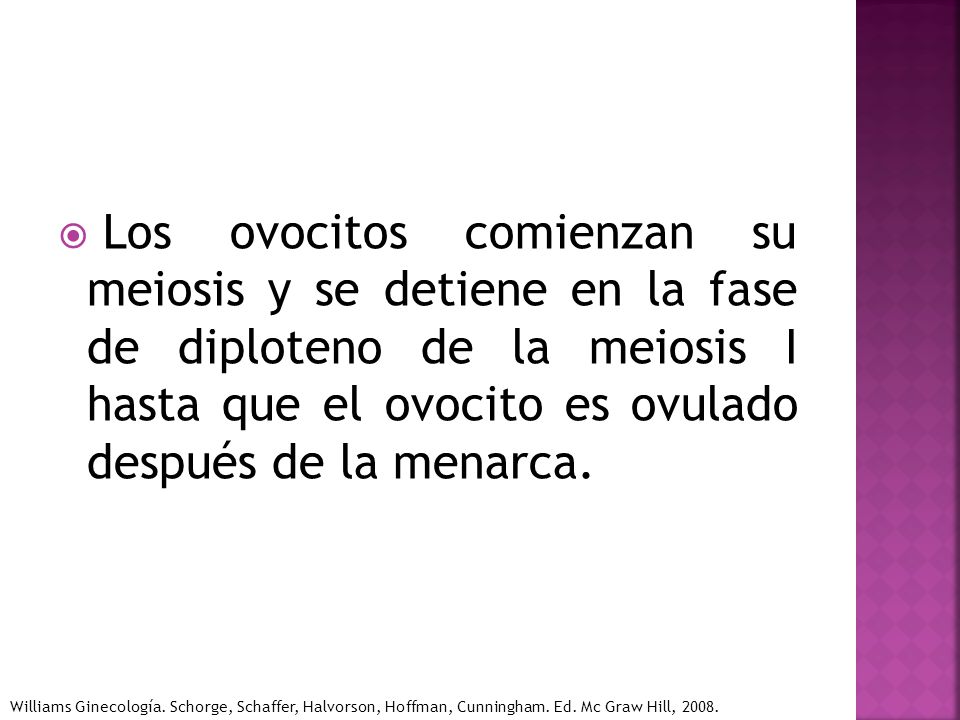 Los ovocitos comienzan su meiosis y se detiene en la fase de diploteno de la meiosis I hasta que el ovocito es ovulado después de la menarca.