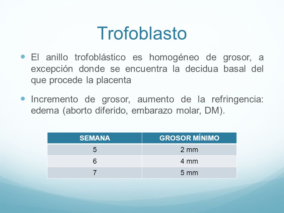 Trofoblasto El anillo trofoblástico es homogéneo de grosor, a excepción donde se encuentra la decidua basal del que procede la placenta.