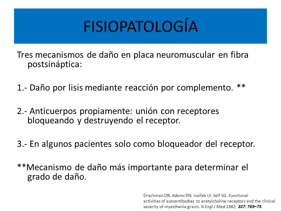 FISIOPATOLOGÍA Tres mecanismos de daño en placa neuromuscular en fibra postsináptica: 1.- Daño por lisis mediante reacción por complemento. **
