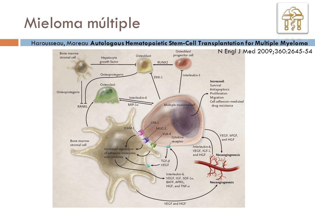 Mieloma múltiple Harousseau, Moreau Autologous Hematopoietic Stem-Cell Transplantation for Multiple Myeloma.