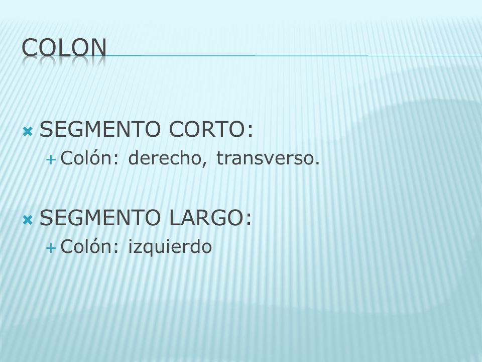 COLON SEGMENTO CORTO: SEGMENTO LARGO: Colón: derecho, transverso.