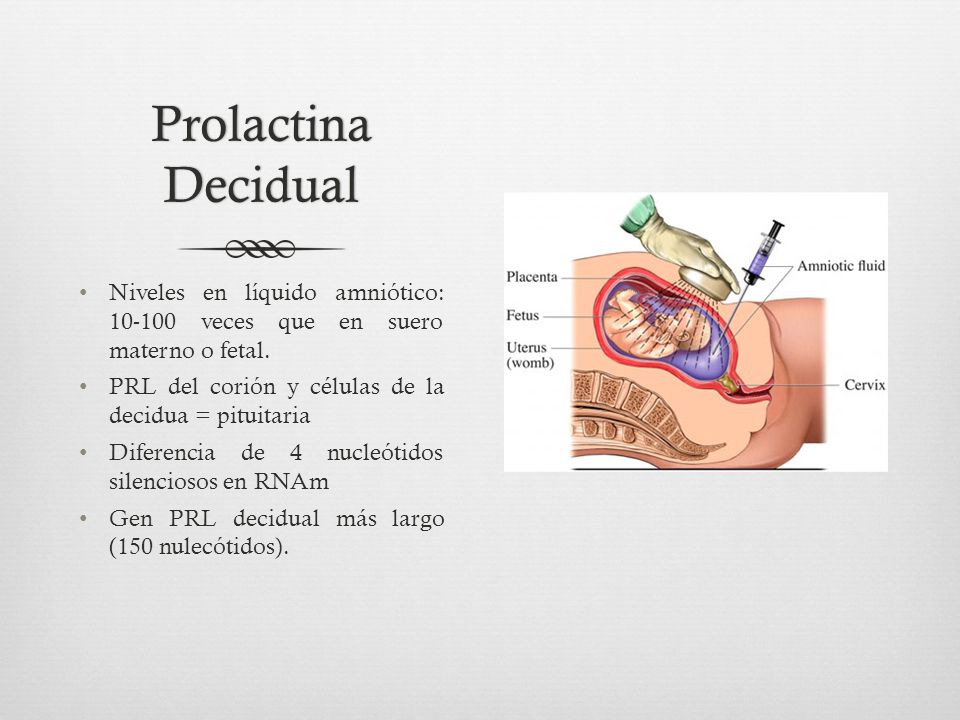 Prolactina Decidual Niveles en líquido amniótico: veces que en suero materno o fetal. PRL del corión y células de la decidua = pituitaria.