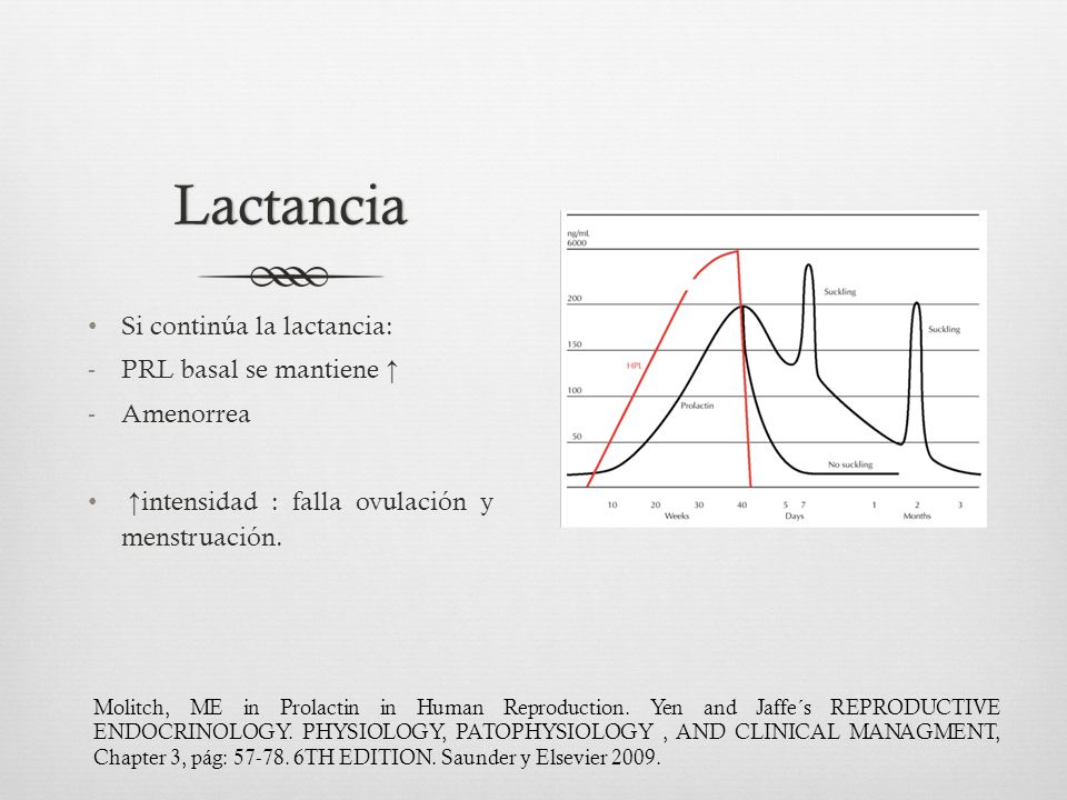 Lactancia Si continúa la lactancia: PRL basal se mantiene ↑ Amenorrea