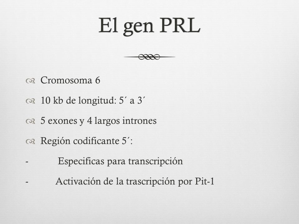 El gen PRL Cromosoma 6 10 kb de longitud: 5´ a 3´