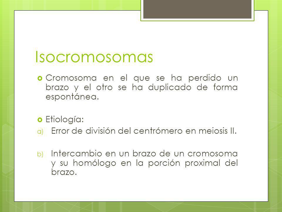 Isocromosomas Cromosoma en el que se ha perdido un brazo y el otro se ha duplicado de forma espontánea.