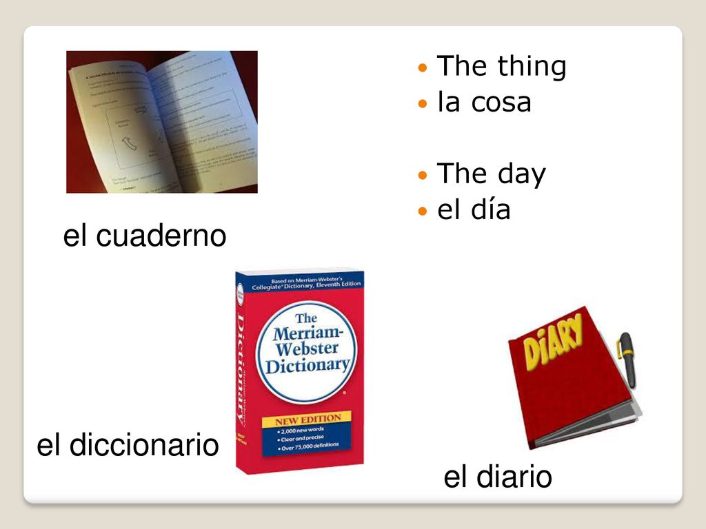 The thing la cosa The day el día el cuaderno el diccionario el diario