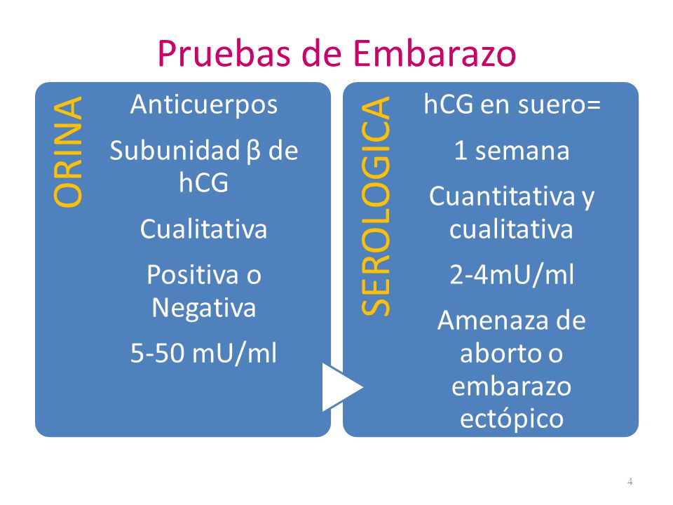 ORINA SEROLOGICA Pruebas de Embarazo Anticuerpos Subunidad β de hCG
