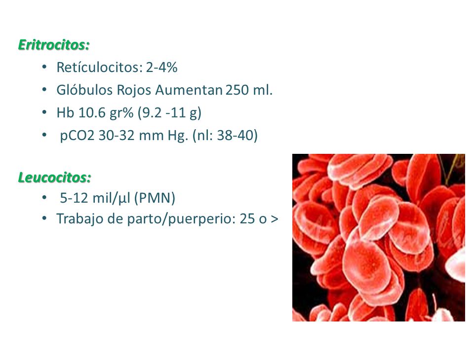 Eritrocitos: Retículocitos: 2-4% Glóbulos Rojos Aumentan 250 ml. Hb 10.6 gr% ( g) pCO mm Hg. (nl: 38-40)