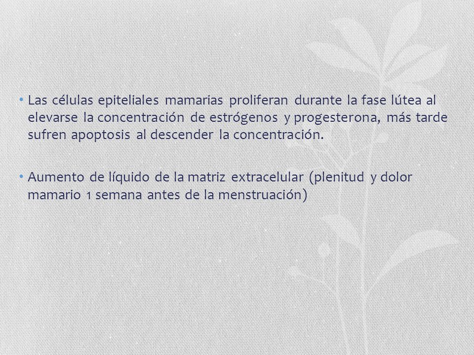 Las células epiteliales mamarias proliferan durante la fase lútea al elevarse la concentración de estrógenos y progesterona, más tarde sufren apoptosis al descender la concentración.