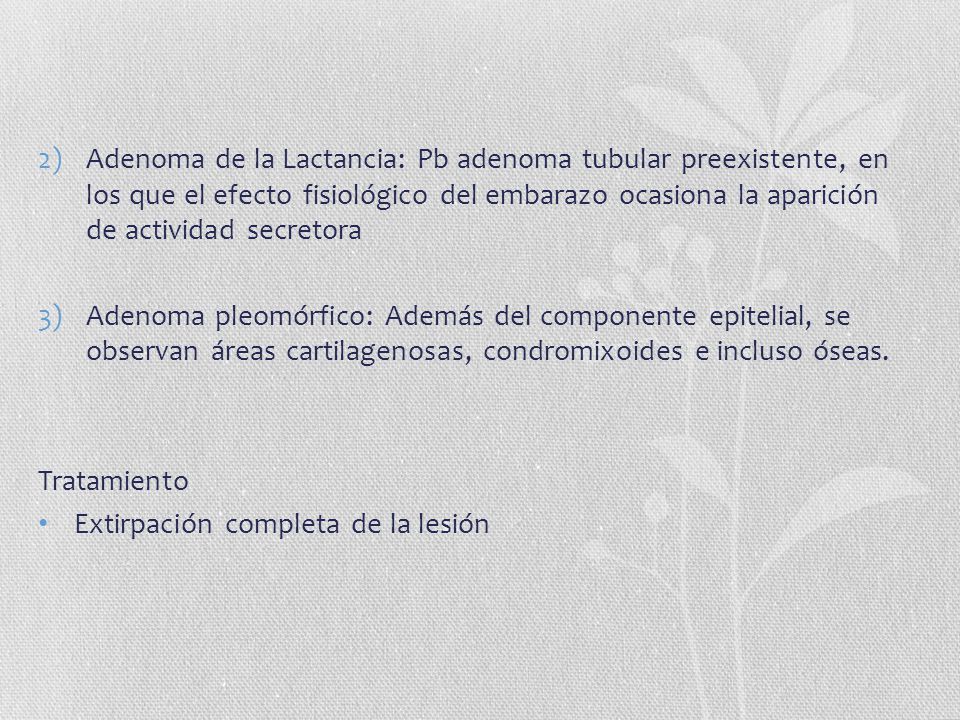Adenoma de la Lactancia: Pb adenoma tubular preexistente, en los que el efecto fisiológico del embarazo ocasiona la aparición de actividad secretora