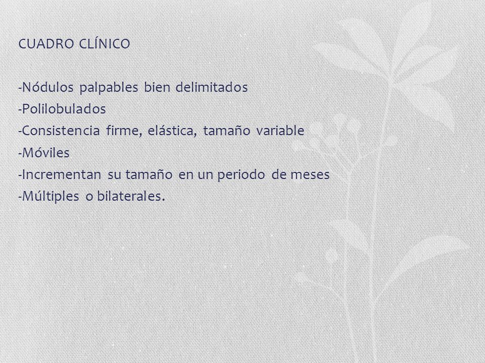 CUADRO CLÍNICO -Nódulos palpables bien delimitados -Polilobulados -Consistencia firme, elástica, tamaño variable -Móviles -Incrementan su tamaño en un periodo de meses -Múltiples o bilaterales.