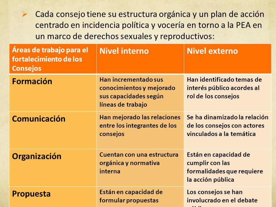 Cada consejo tiene su estructura orgánica y un plan de acción centrado en incidencia política y vocería en torno a la PEA en un marco de derechos sexuales y reproductivos: