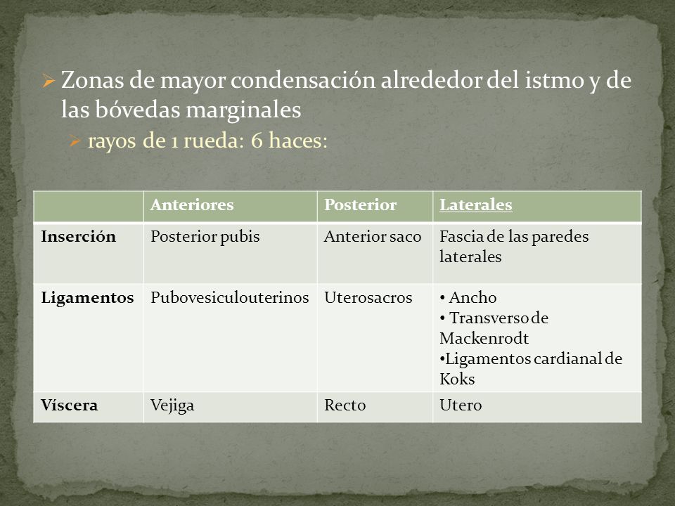 Zonas de mayor condensación alrededor del istmo y de las bóvedas marginales