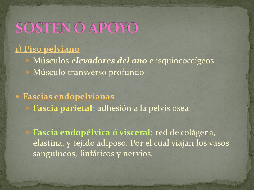 SOSTEN O APOYO 1) Piso pelviano