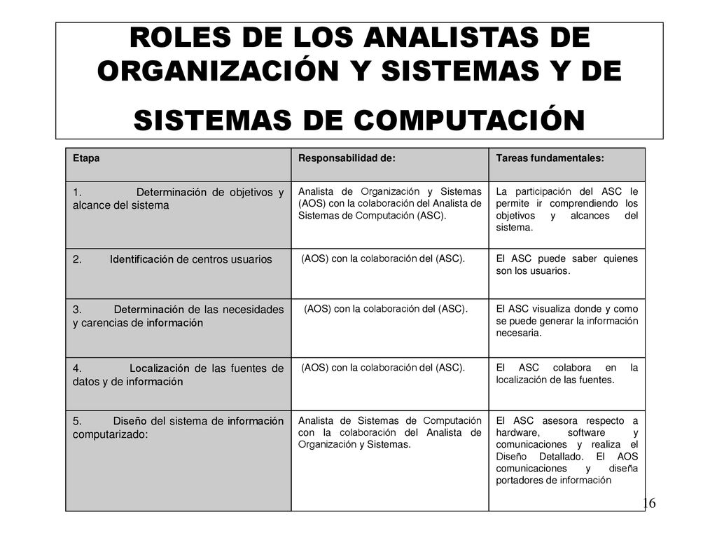 ROLES DE LOS ANALISTAS DE ORGANIZACIÓN Y SISTEMAS Y DE SISTEMAS DE COMPUTACIÓN