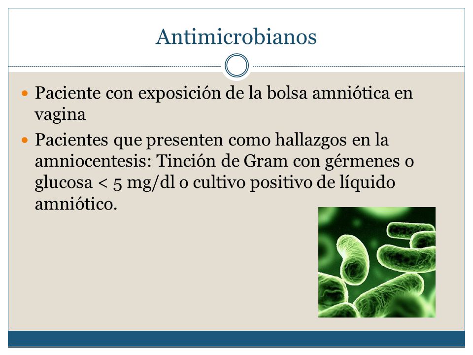 Antimicrobianos Paciente con exposición de la bolsa amniótica en vagina.