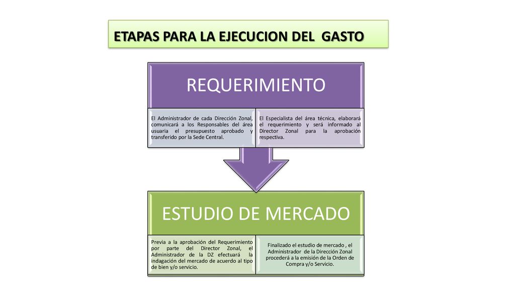 REQUERIMIENTO ESTUDIO DE MERCADO ETAPAS PARA LA EJECUCION DEL GASTO
