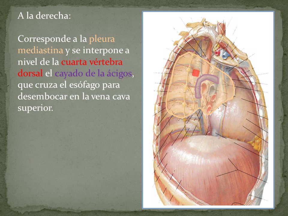 A la derecha: