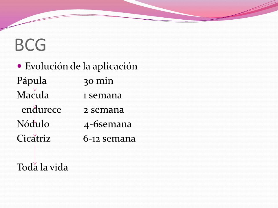BCG Evolución de la aplicación Pápula 30 min Macula 1 semana