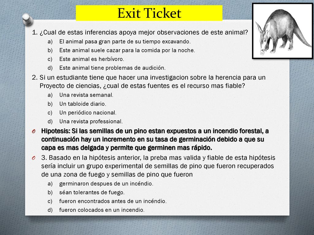 Exit Ticket ¿Cual de estas inferencias apoya mejor observaciones de este animal El animal pasa gran parte de su tiempo excavando.