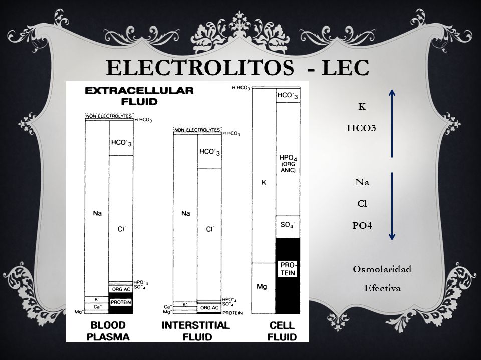 ELECTROLITOS - LEC K HCO3 Na Cl PO4 Osmolaridad Efectiva