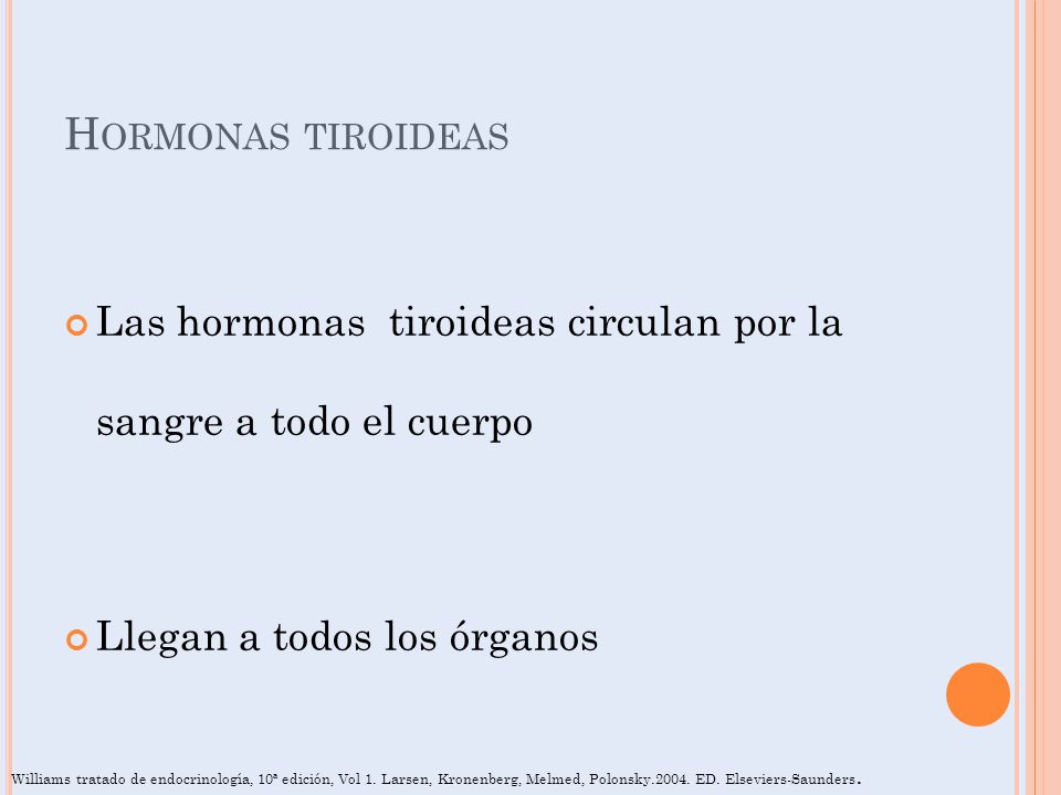 Hormonas tiroideas Las hormonas tiroideas circulan por la sangre a todo el cuerpo. Llegan a todos los órganos.