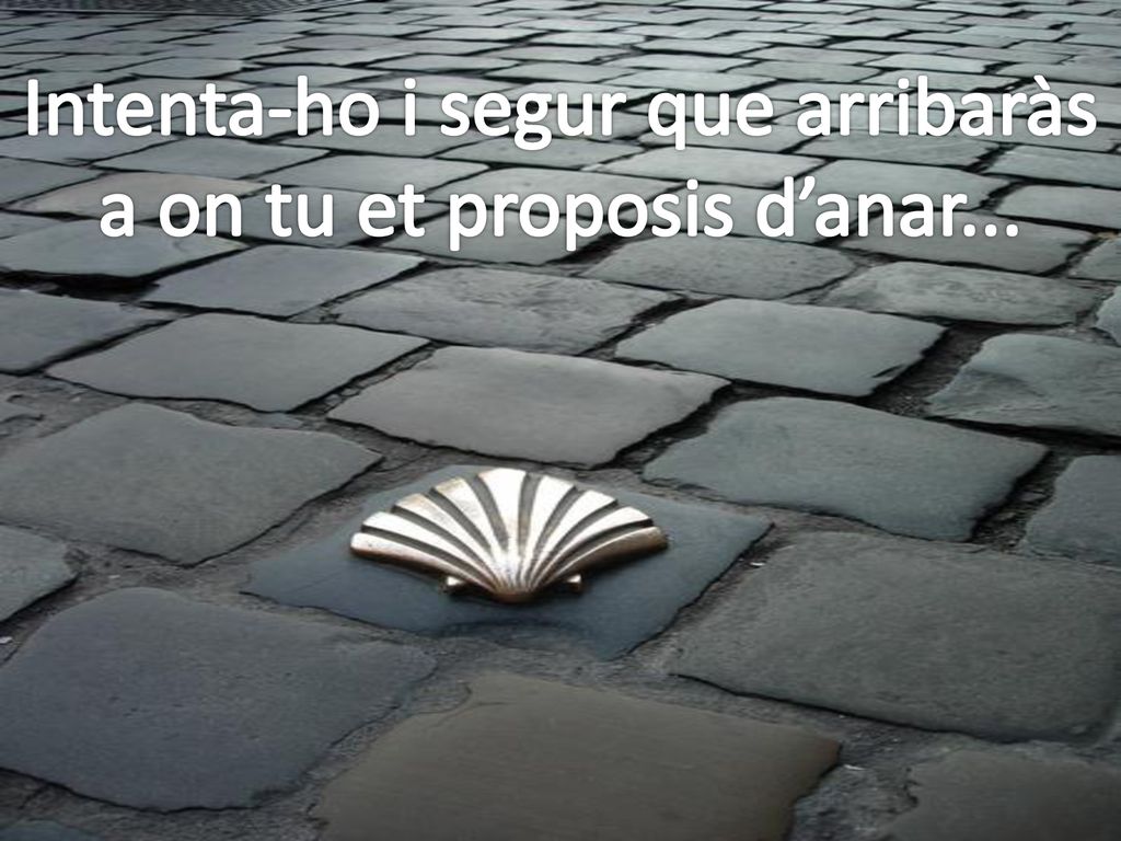 Intenta-ho i segur que arribaràs a on tu et proposis d’anar...