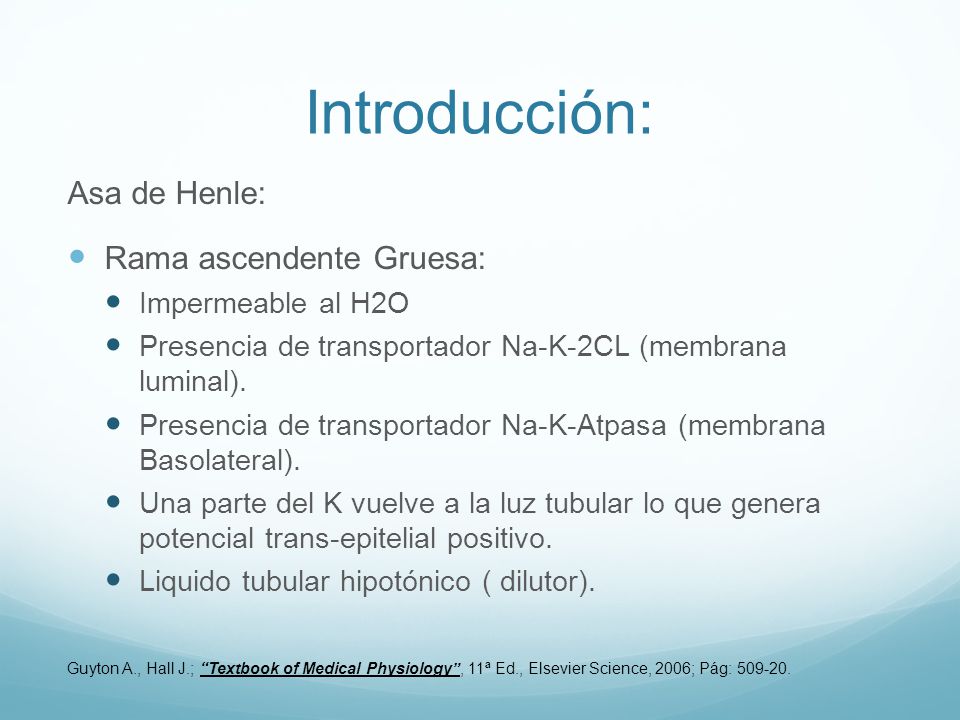 Introducción: Asa de Henle: Rama ascendente Gruesa: Impermeable al H2O