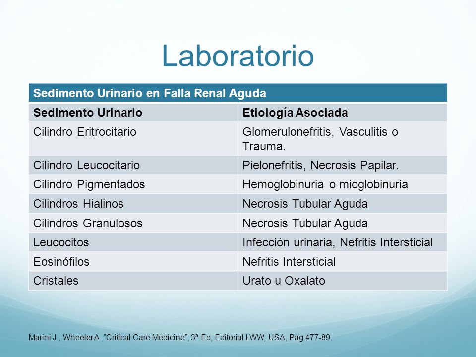 Laboratorio Sedimento Urinario en Falla Renal Aguda Sedimento Urinario